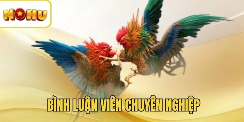 Hệ thống có bình luận từ đội ngũ lành nghề